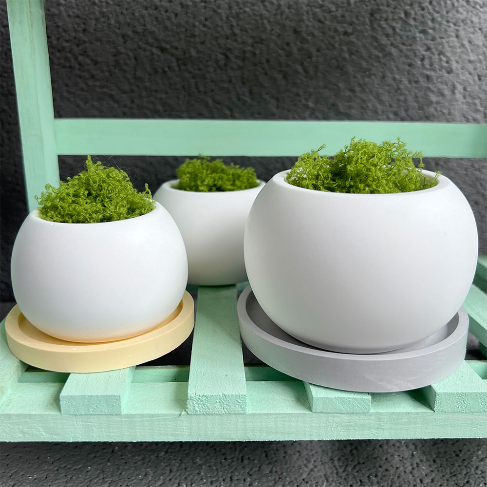 แม่พิมพ์ซิลิโคนสำหรับปลูกต้นไม - Potsticker Mold บทวิจารณ์และราคา
